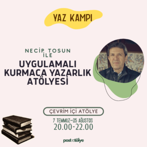 Uygulamalı Kurmaca Yazarlık Atölyesi - Necip Tosun